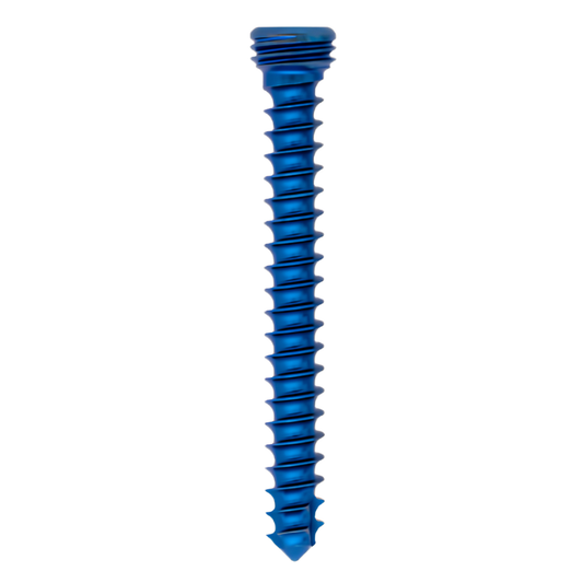 Headless cannulated compression screw 6.5 mm x 65 mm long thread