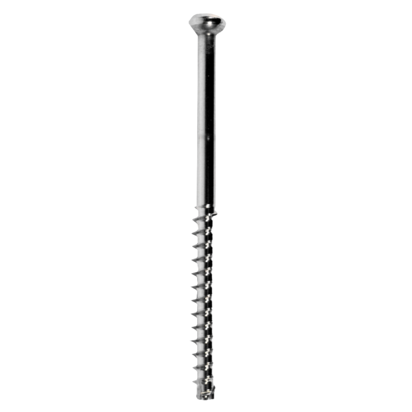 Low profile stainless steel cannulated screw 4.0 mm x 30 mm long thread