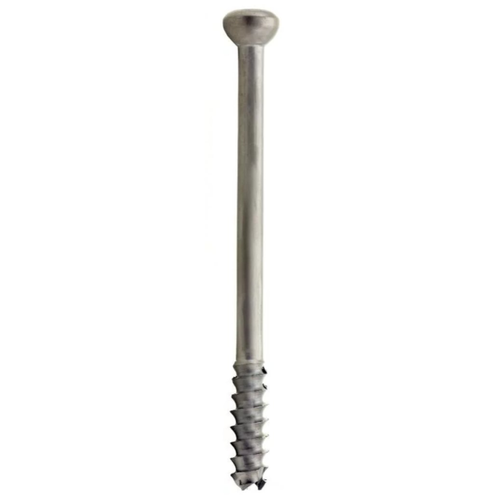 Low profile titanium cannulated screw 4.5 mm x 32 mm fully threaded