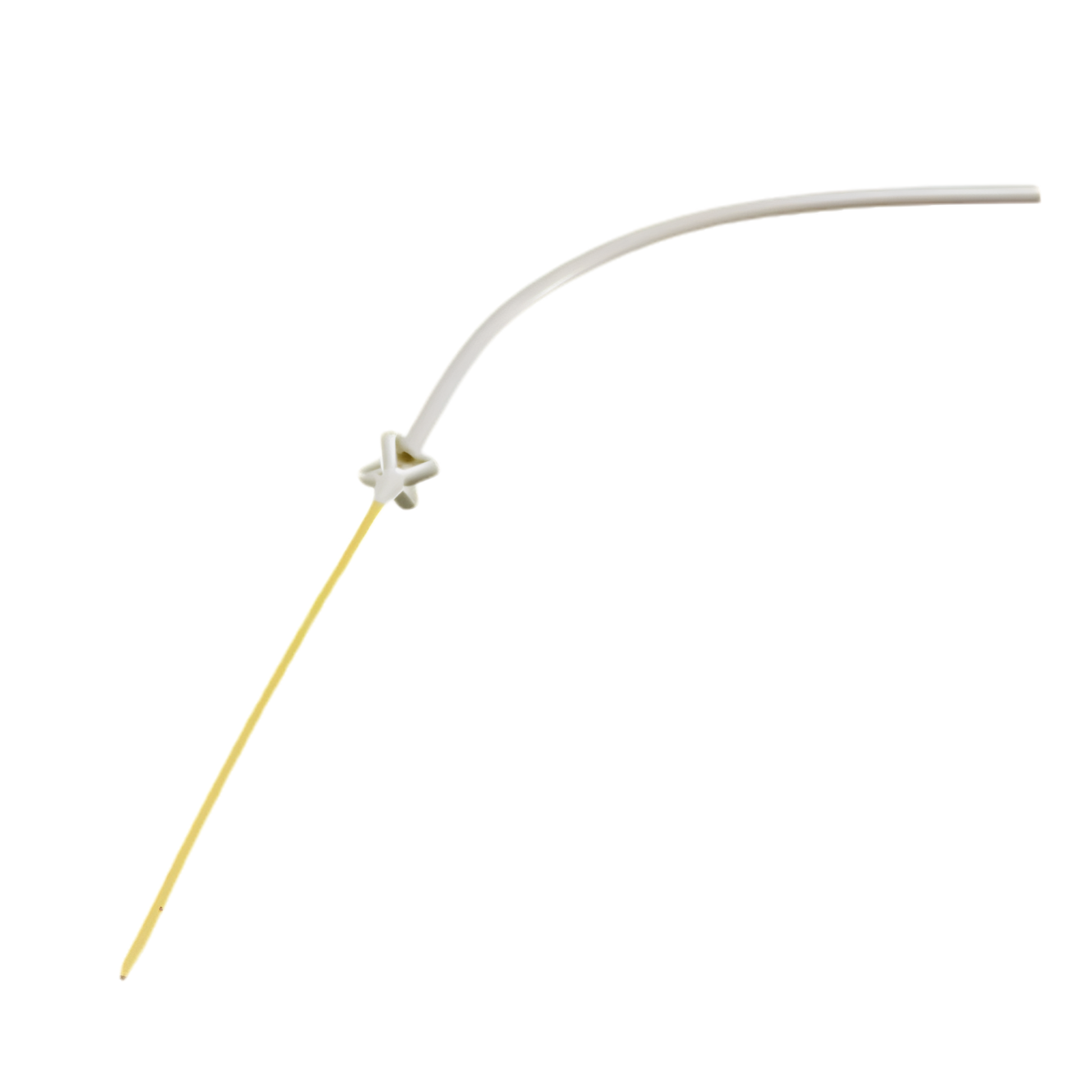 Re-Entry Malecot Nephrostomy Catheter Set Boston Scientific percutaneous renal drainage catheter